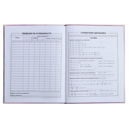 Universal Diary Grade 1-11, 48 sheets "Cat with a donut", hard cover, glossy lamination, foil embossing-9