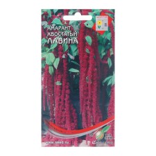 Flower seeds amaranth tail 