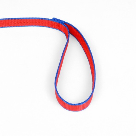 Leash 7 m x 2 cm, blue-red-2