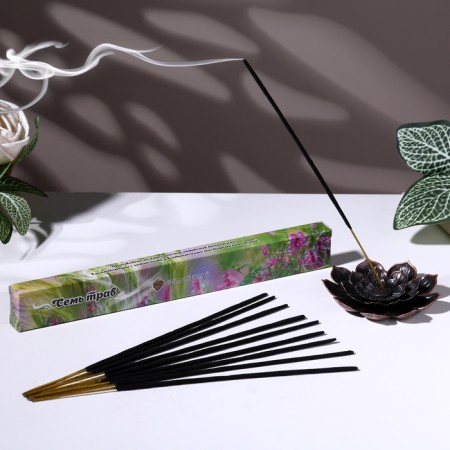 Incense "Charm of the East Seven Herbs", 20 sticks in packaging