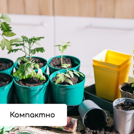 Set for seedlings: glasses of 500 ml (8 pcs), pan 40 × 20 cm, color mix, Greengo-7