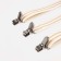 Adults adults, width 2.5 cm, beige color