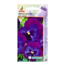 Seeds Viola Paue F1 Blue Jeans 8pcs*