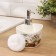 A dispenser for a detergent with a stand for the Lavender Dula sponge, 260 ml