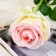 Artificial flowers "Rose Expression" 9,5x66 cm, pink