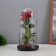 Halloween Light Sobe "Spider with Rose" 1.5W, LED, 3XAAA, Black USB 11x11x21cm