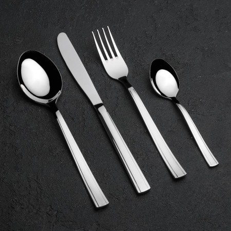 Set of dining room "Triumph", 24 items, thickness 2 mm, decorative box, silver color-1
