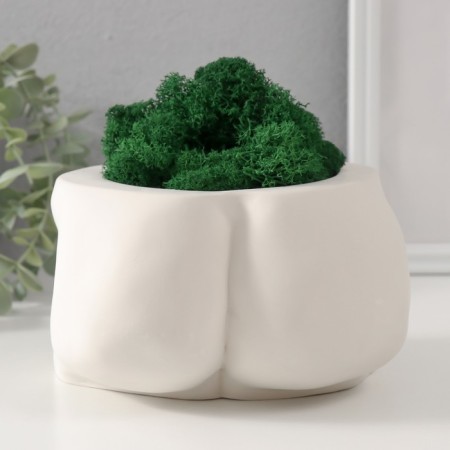 Kashpo concrete "dignity" with moss height 10 cm, width 17 cm white (moss green stabilis)-2