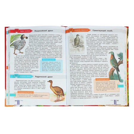 The Red Book of the World-4