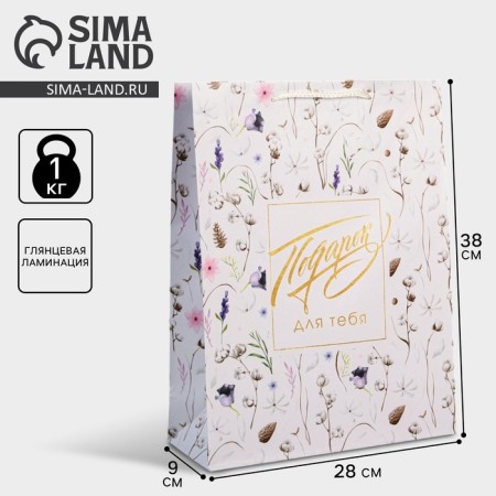 Gift package laminated, packaging, Gift for you, l 28 x 38 x 9 cm-1