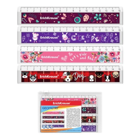 Set of Lineec 4pcs 15cm Design Erichkrause, with a notch of plastic, mix (Girl)