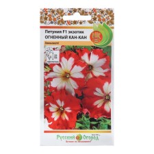 Flowers of Petunia Exotic 