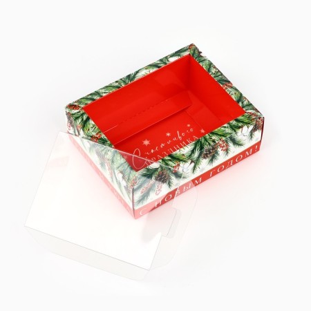 Folding box with a plastic lid "Cell and comfort", 11.5 x 9 x 4 cm, New Year-4