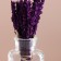 Lavender dried flowers set, banch length 15 (+/- 6 cm), lilac