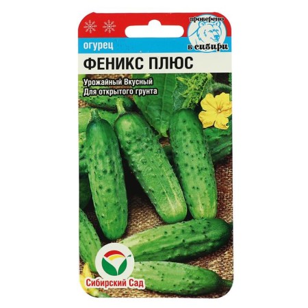 Cucumber seeds "Phoenix Plus" 7pcs