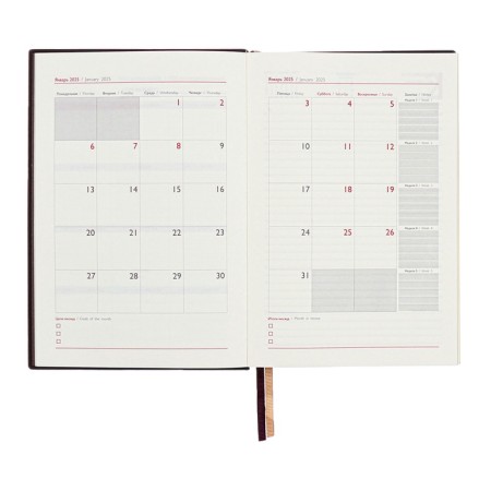 Dated 2025 diary, A5, 176 sheets of Escalada, solid cover of artificial leather, 3D design, foil, liescam embossing, cream block 70 g/m2, brown-10