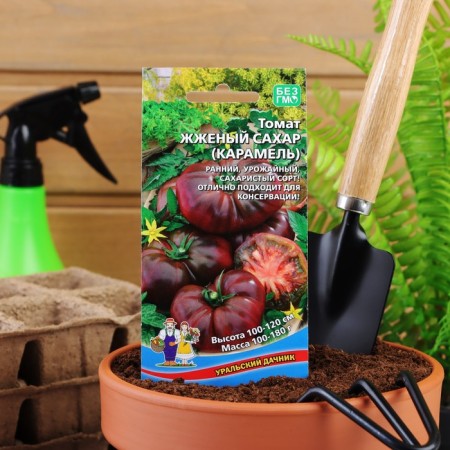 Seed tomato "Burn sugar", 20 pcs-2