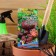 Seed tomato "Burn sugar", 20 pcs