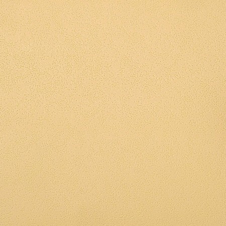 Wallpaper kitchen vinyl on a paper basis Elysium 97018, 0.53x10.05 m-1