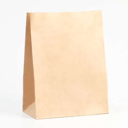 Paper Craft package, bearing, rectangular bottom, 22 x 12 x 29 cm, 50 g/m2