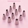 Set of confectionery share, 11 objects: 10 nozzles, bag, color mix
