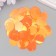Sequins "circle" coral set 30 g d = 2 cm