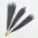 Pampas artificial grass, height 43 cm, 5 brushes, dark gray color