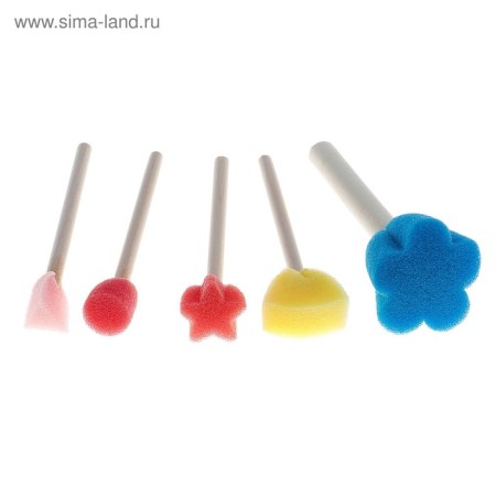 Set of brushes - sponge, 5 pieces-1
