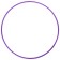 Broke for rhythmic gymnastics Grace Dance, professional, d = 90 cm, purple color