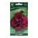Flowers of petunias Tensor multi -flowered "Duo Burgundy" 10 pcs