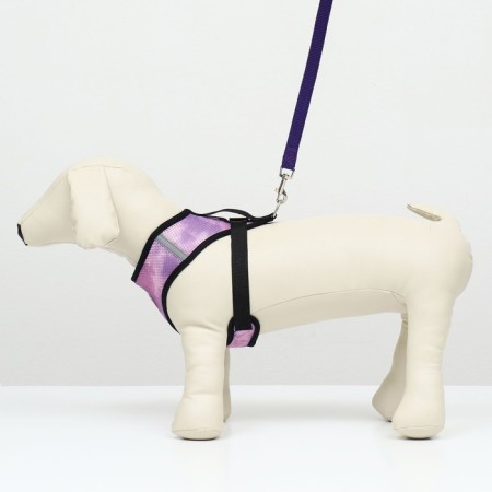 A set for dogs 3-5 kg, size S, leash 120 x 1.5 cm, Osh 24 cm, OG 34 cm-1