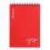 Notebook for spirals A6 80 sheets, cage, Erichkrause "Words" Plastic Cover Silkography, Blok Offset Beliece 100%, Red