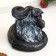 Figure "Snake with grass" Black 18x16x15cm