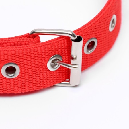 Two -layer collar with a swivel 58 x 3 cm, polyester, red-2