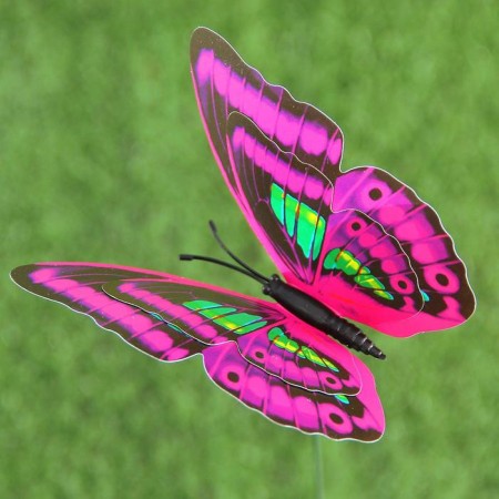 Plug "butterfly octavia" 8x10cm/25cm, mix-12