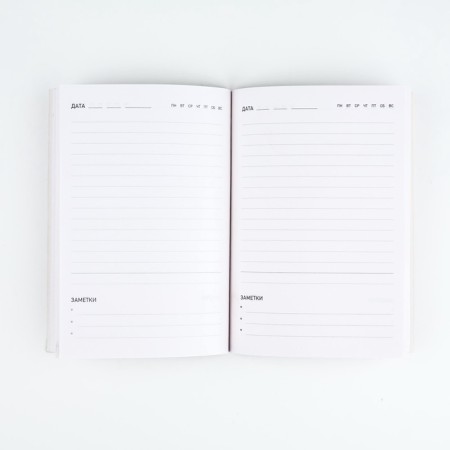 Set "February 23": Cover for PVC passport and A5 Diary 80 sheets-4