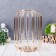 VAZA-Florarium "Angstrem" 9x20 cm, flask in a stand, gold