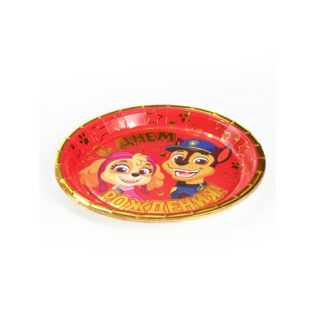 A disposable paper plate with embossing "Happy Birthday!", 18 cm, puppy patrol-1