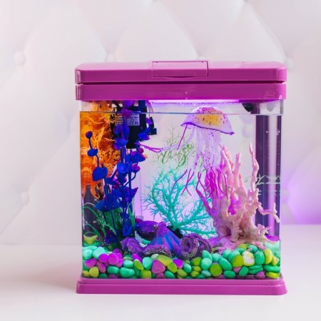 The Seastar HX-240ZF Aquarium includes: LED lamp two-color, filter 200 l/h, 12 l pink-10
