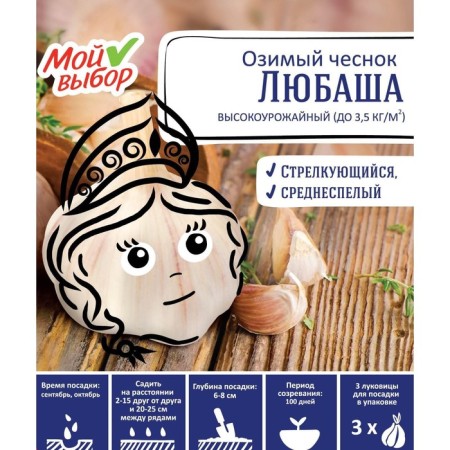 Garlic winter Lyubasha 30+, packaging 3 pcs-2