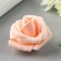 Foamiran rose, apricot d-4 cm