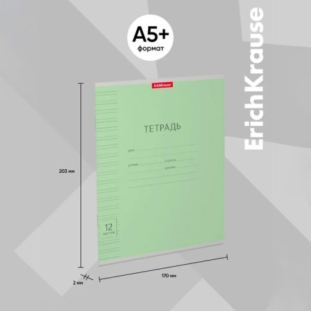 Notebook 12 sheets in a narrow ruler, Erichkrause Visio "Classic", cover coated a cardboard, an offset block, green-2