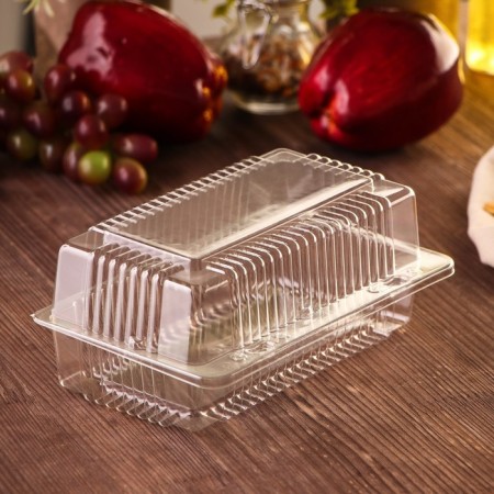 A plastic disposable container with an insoluble lid, 18.4 × 11.2 × 7.9 cm, internal 16.2 × 8.2 × 6.6 cm, is a transparent color-1