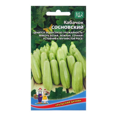 Semen Kabachok "Sosnovsky", 10 pcs