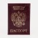 Cover for passport, burgundy color