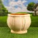 Pit "Pumpkin" 10l / 24cm