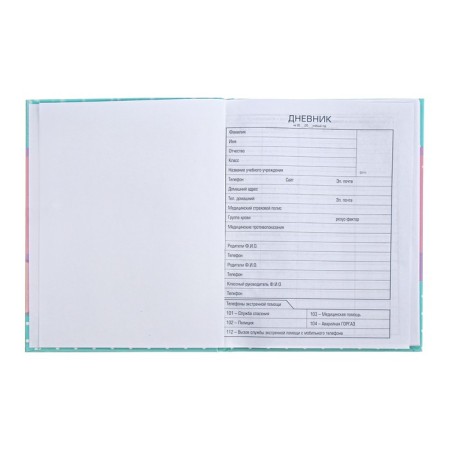 Metoyou universal diary for grades 1-11, hard cover, matte lamination, sparkles, 40 sheets-4