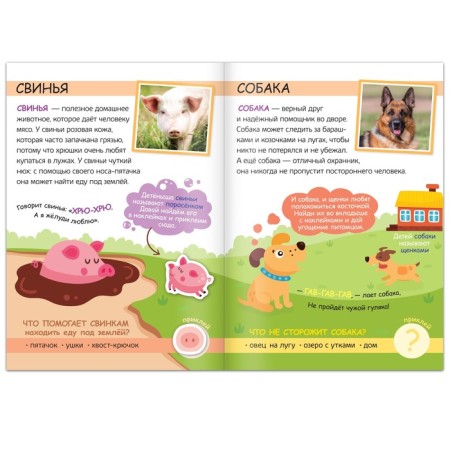 A book with stickers "My Farm. Read, play, find out ”, 16 p.-2