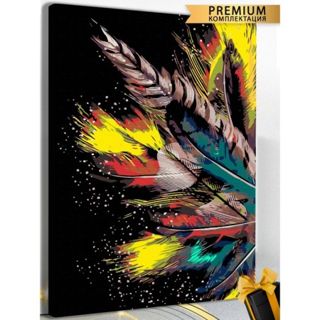 Picture on the numbers "Color feathers" canvas on the subframe 40 × 60 cm