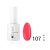 No. 107 Berry Shcherbet